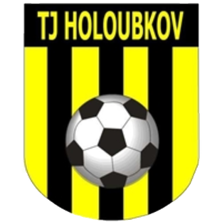 Tělovýchovná jednota Holoubkov, z.s.