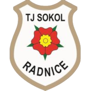 TJ Sokol Radnice, spolek